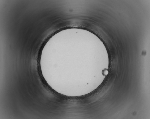 X0000103960530200809261814