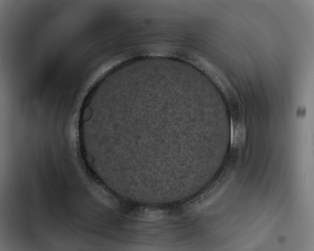 X0000103960531200809261814