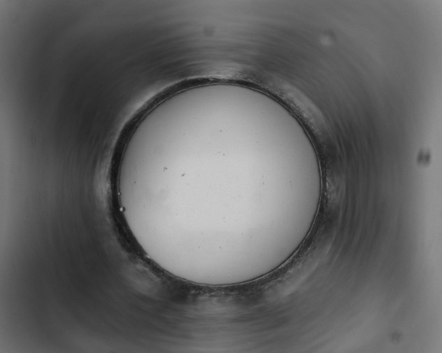 X0000103960532200809261814