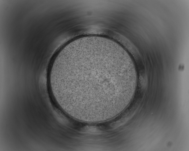 X0000103960534200809261814
