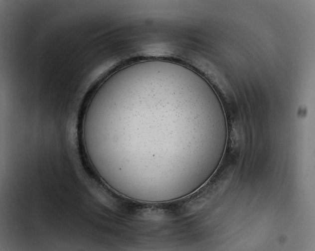 X0000103960535200809261814