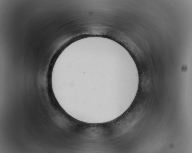 X0000103960536200809261814