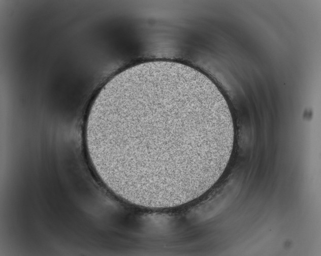 X0000103960537200809261814