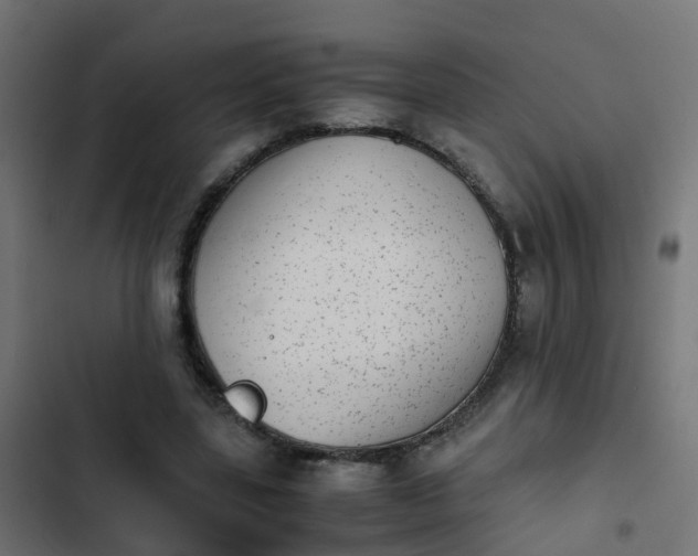 X0000103960539200809261814