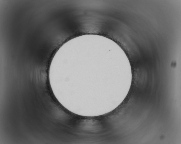 X0000103960541200809261814