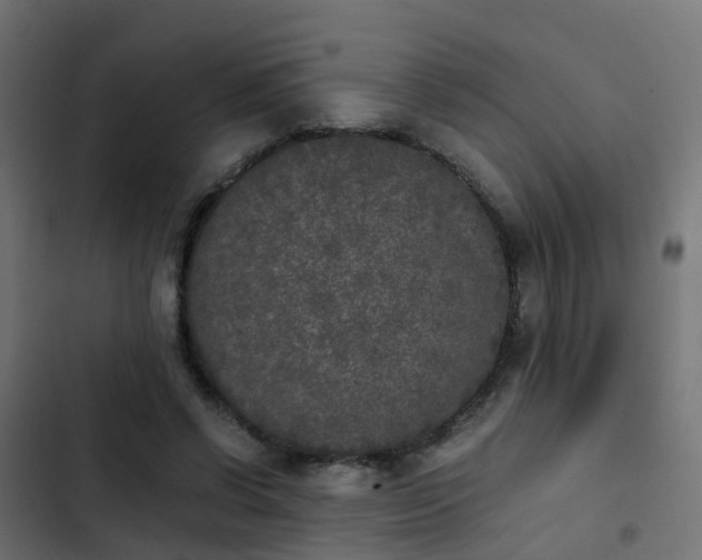 X0000103960542200809261814