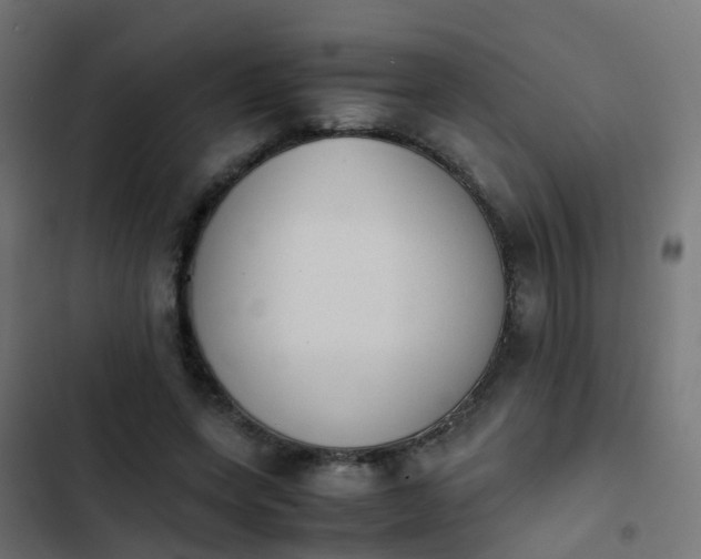 X0000103960543200809261814