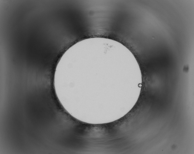 X0000103960546200809261814
