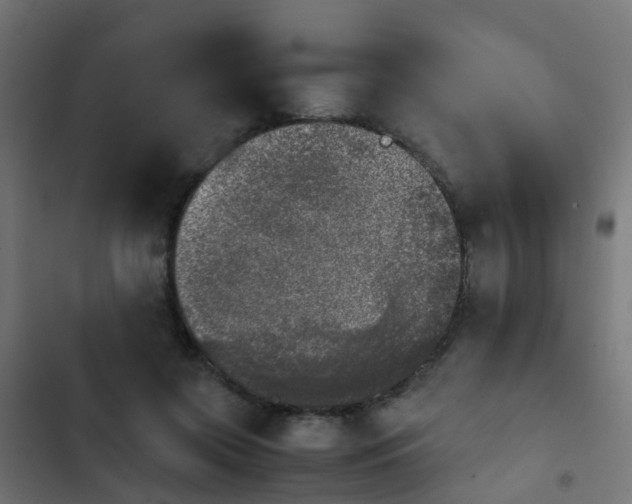 X0000103960549200809261814