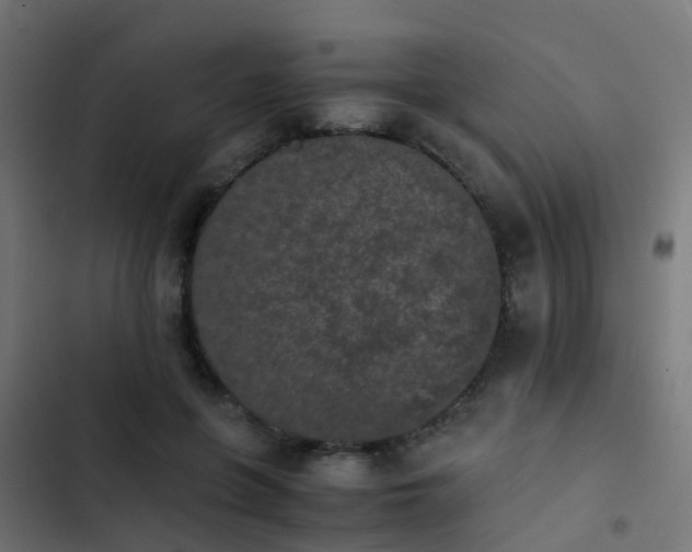 X0000103960551200809261814