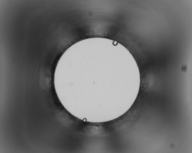 X0000103960552200809261814