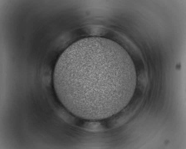 X0000103960554200809261814