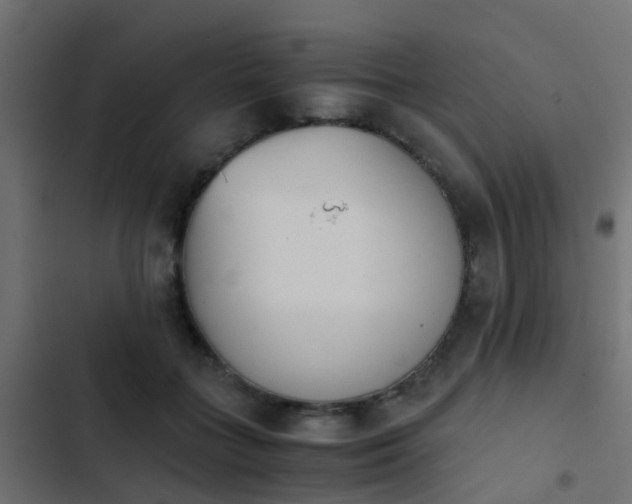 X0000103960555200809261814