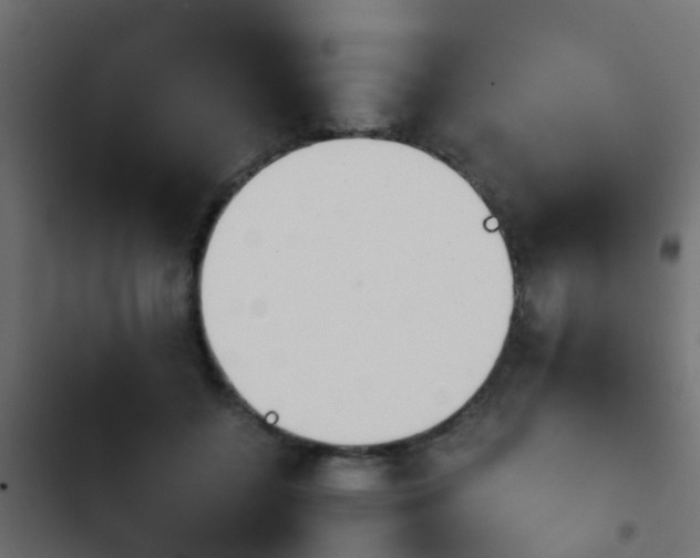 X0000103960556200809261814