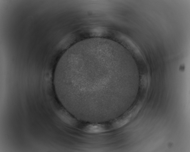 X0000103960557200809261814