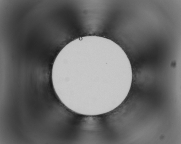 X0000103960558200809261814