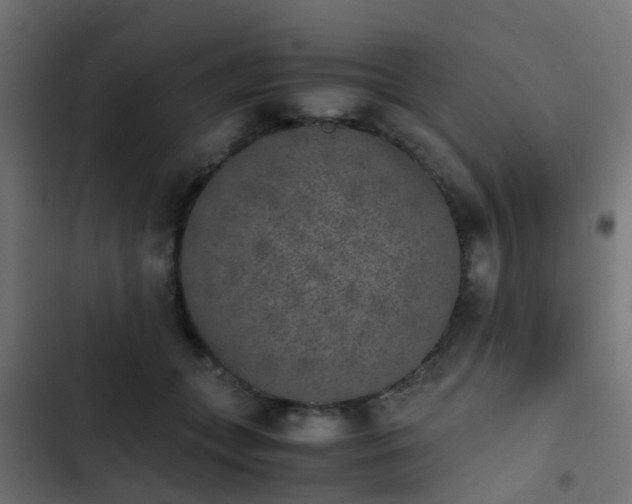 X0000103960559200809261814