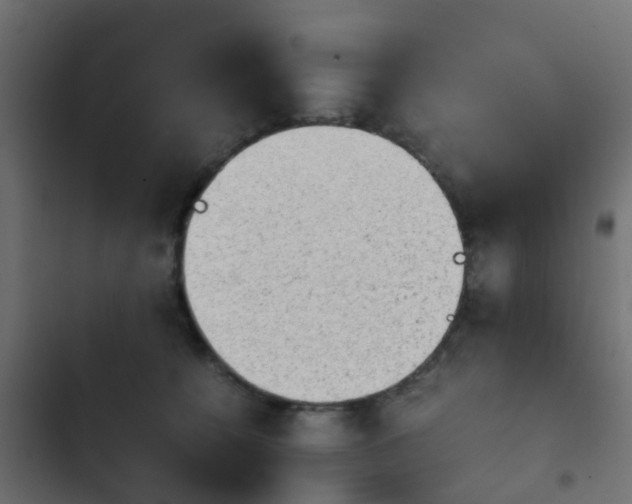 X0000103960560200809261814