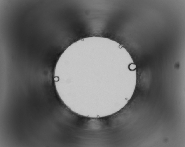 X0000103960562200809261814