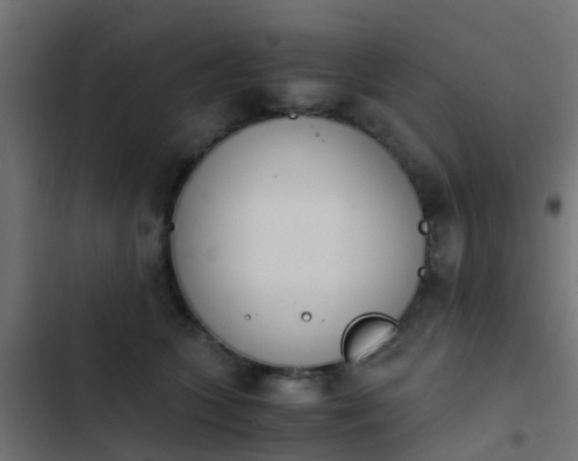 X0000103960563200809261814