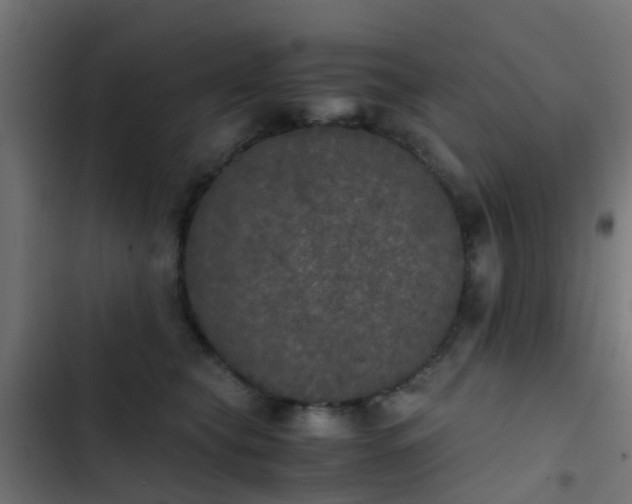 X0000103960565200809261814