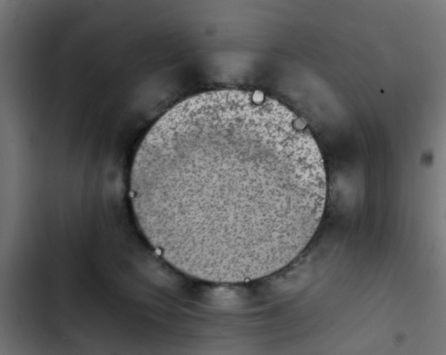 X0000103960566200809261814