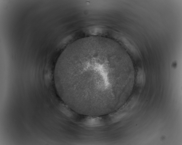 X0000103960569200809261814