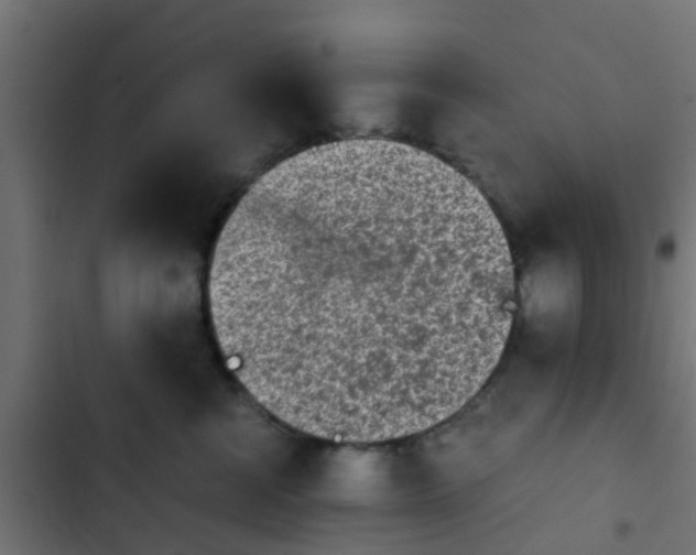 X0000103960570200809261814