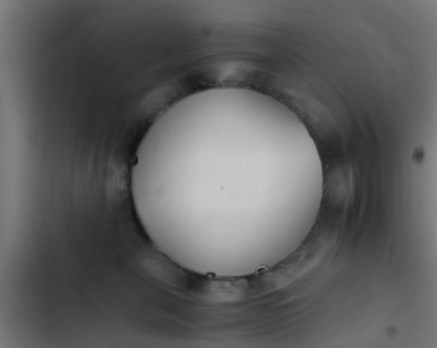 X0000103960571200809261814