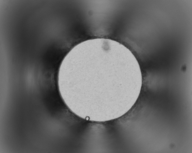 X0000103960572200809261814