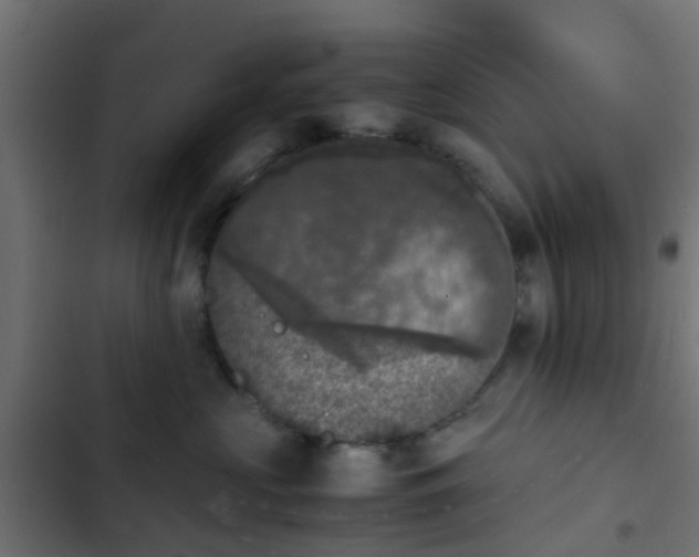 X0000103960573200809261814