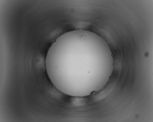 X0000103960575200809261814