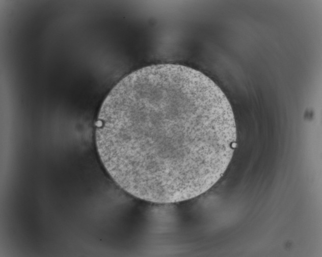 X0000103960576200809261814