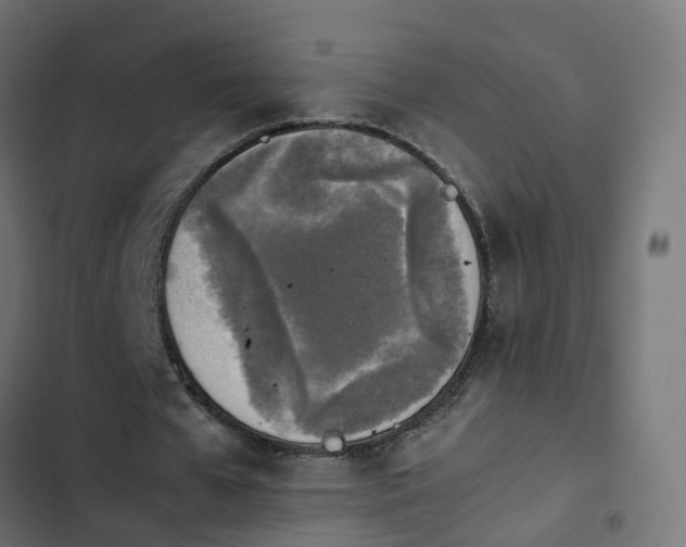X0000103960577200809261814