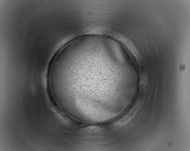 X0000103960578200809261814