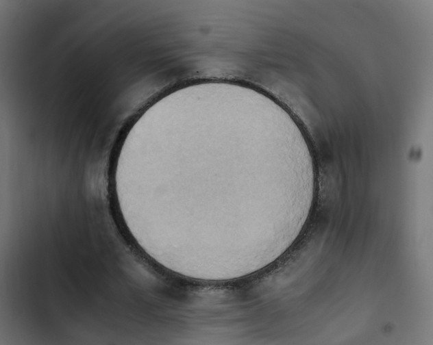 X0000103960581200809261813