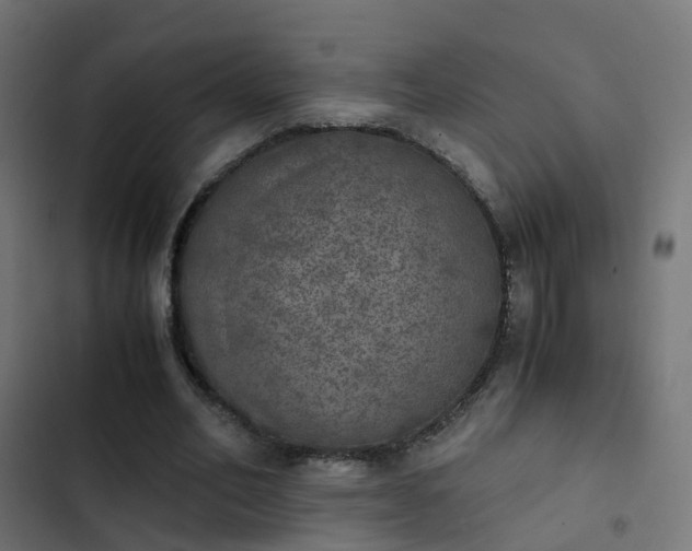X0000103960582200809261813