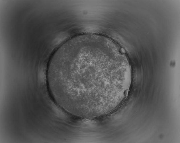 X0000103960585200809261813