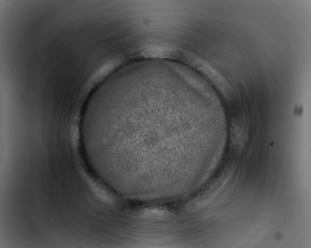X0000103960586200809261813