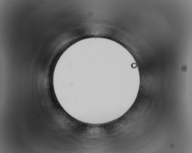 X0000103960587200809261813
