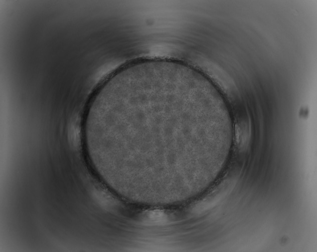 X0000103960588200809261813