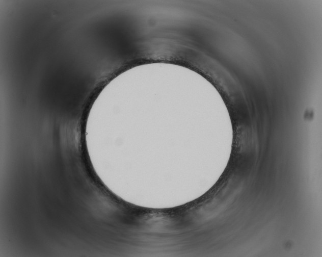 X0000103960589200809261813