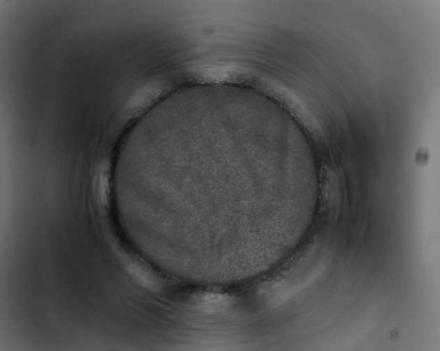 X0000103960590200809261813