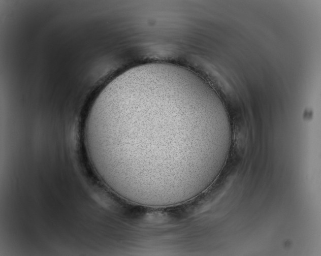 X0000103960591200809261813