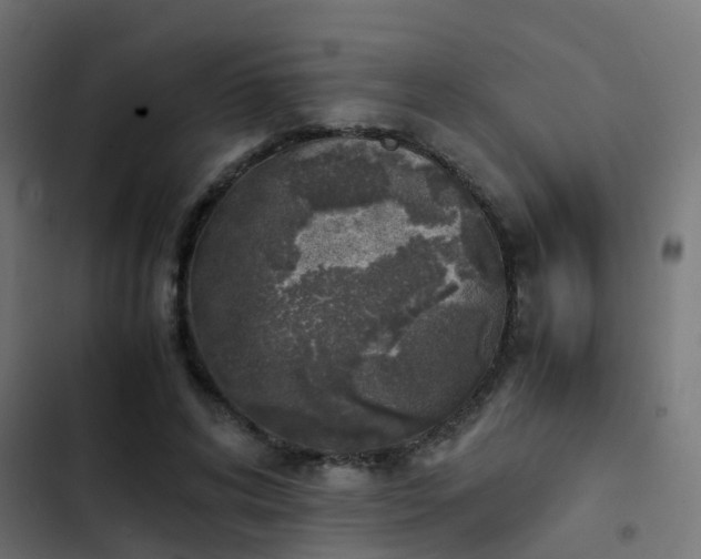 X0000103960592200809261813