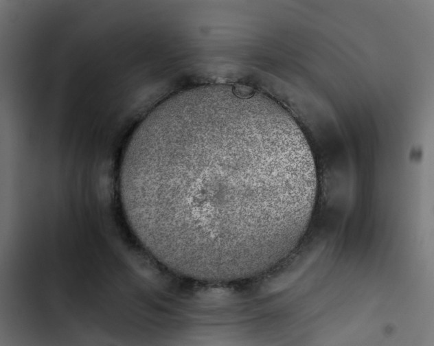 X0000103960594200809261813