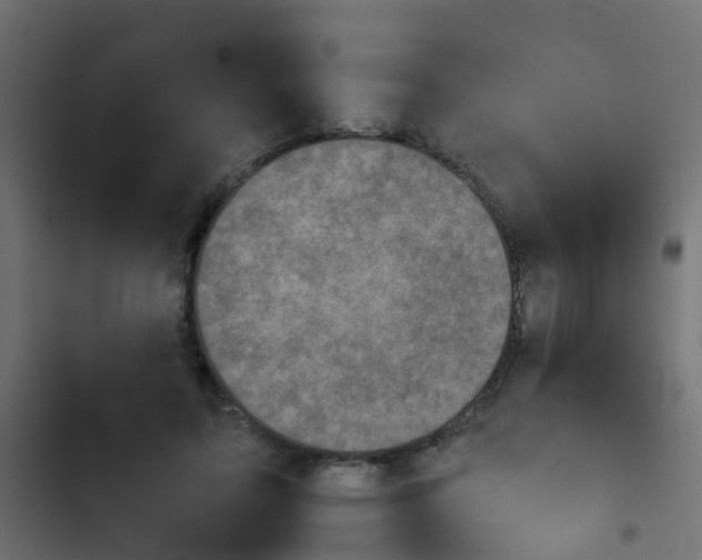 X0000103960595200809261813