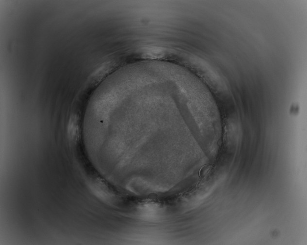 X0000103960598200809261813