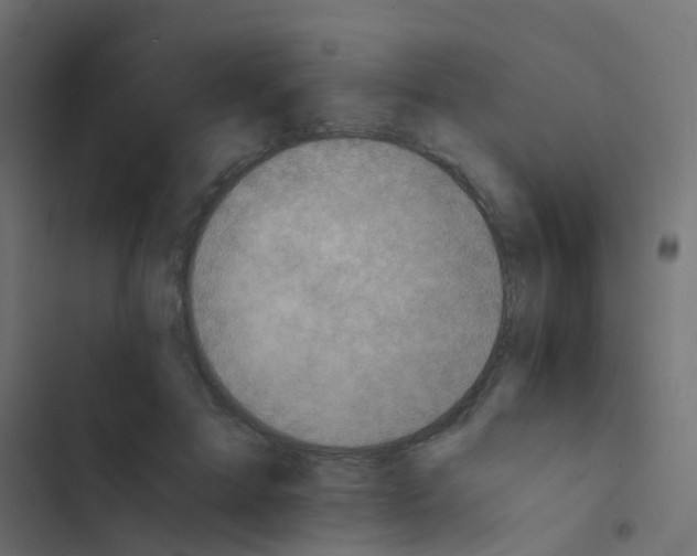 X0000103960599200809261813