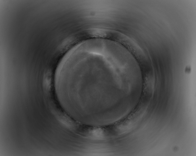 X0000103960600200809261813